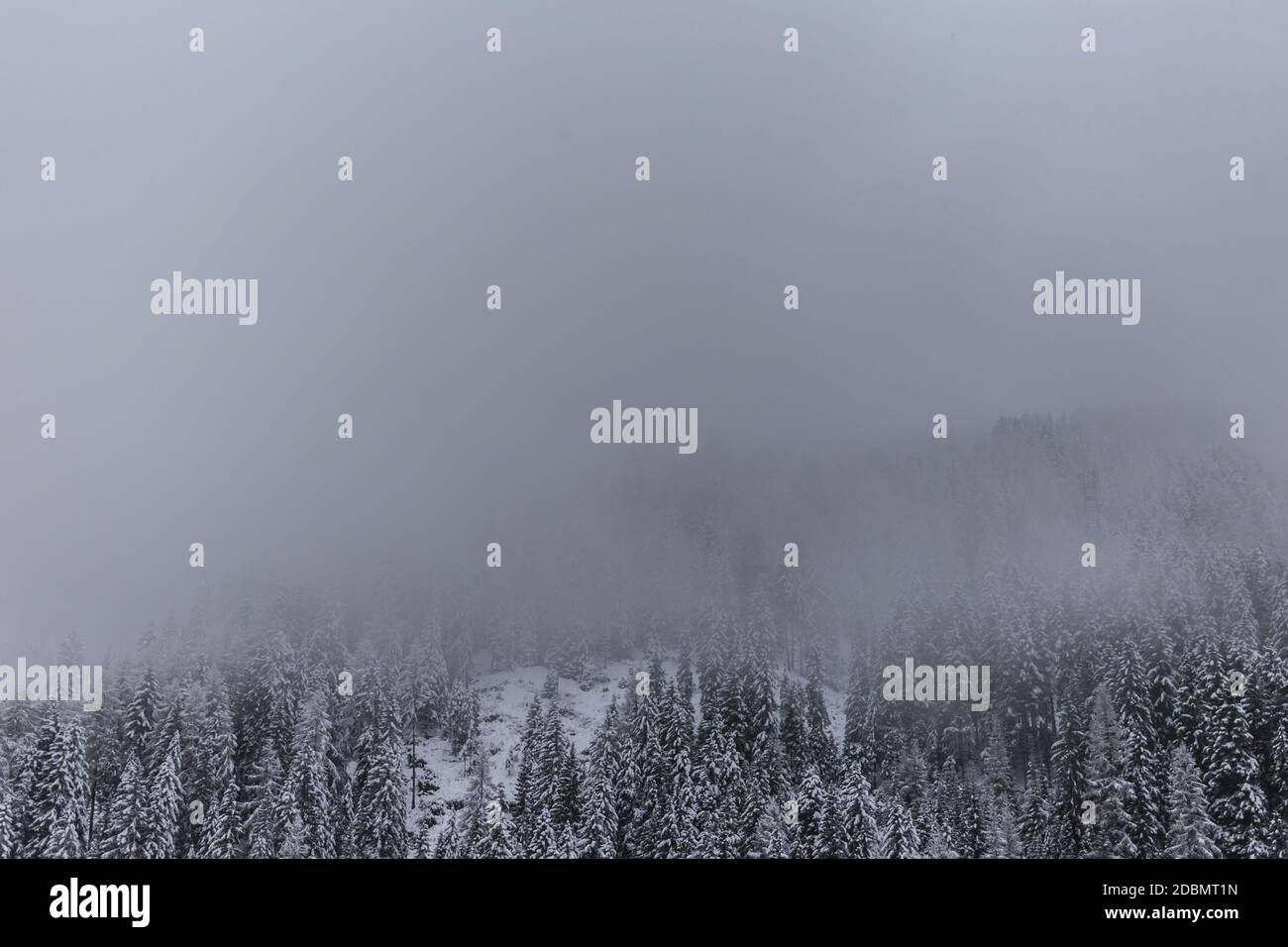 Paesaggio invernale foggoso con vista sui pini, Selva Gardena, Dolomiti, Italia Foto Stock