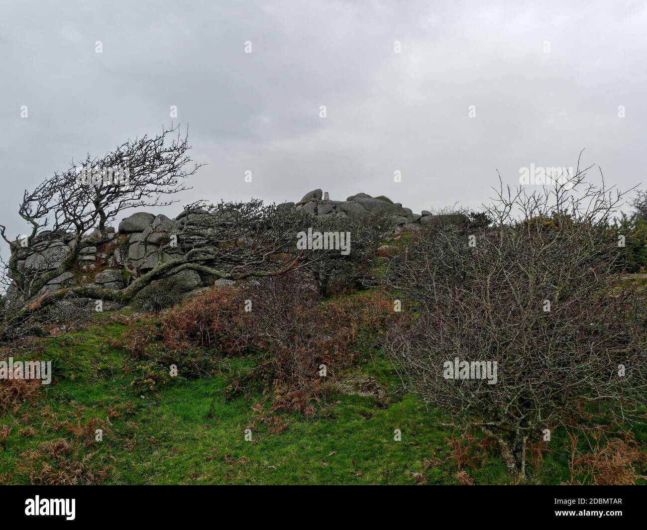 Helman Tor, Bodmin, Lanlivery, la Saints Way passa attraverso la riserva naturale di Helman Tor e il forte preistorico di collina, Cornovaglia, Regno Unito, 17 novembre 202 Foto Stock