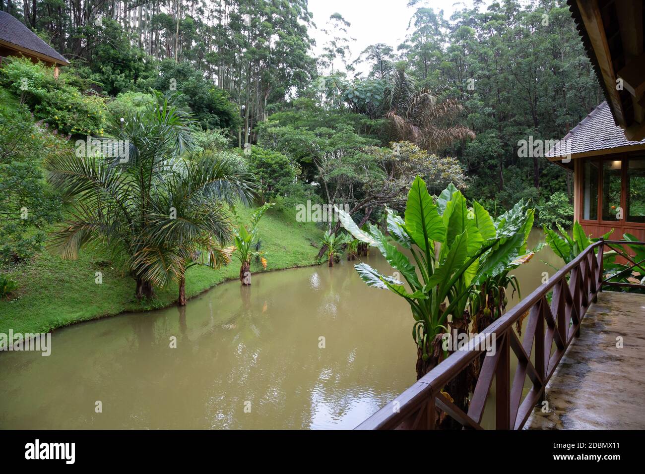 Un piccolo ponte di legno su un piccolo fiume in una foresta pluviale in Madagascar Foto Stock