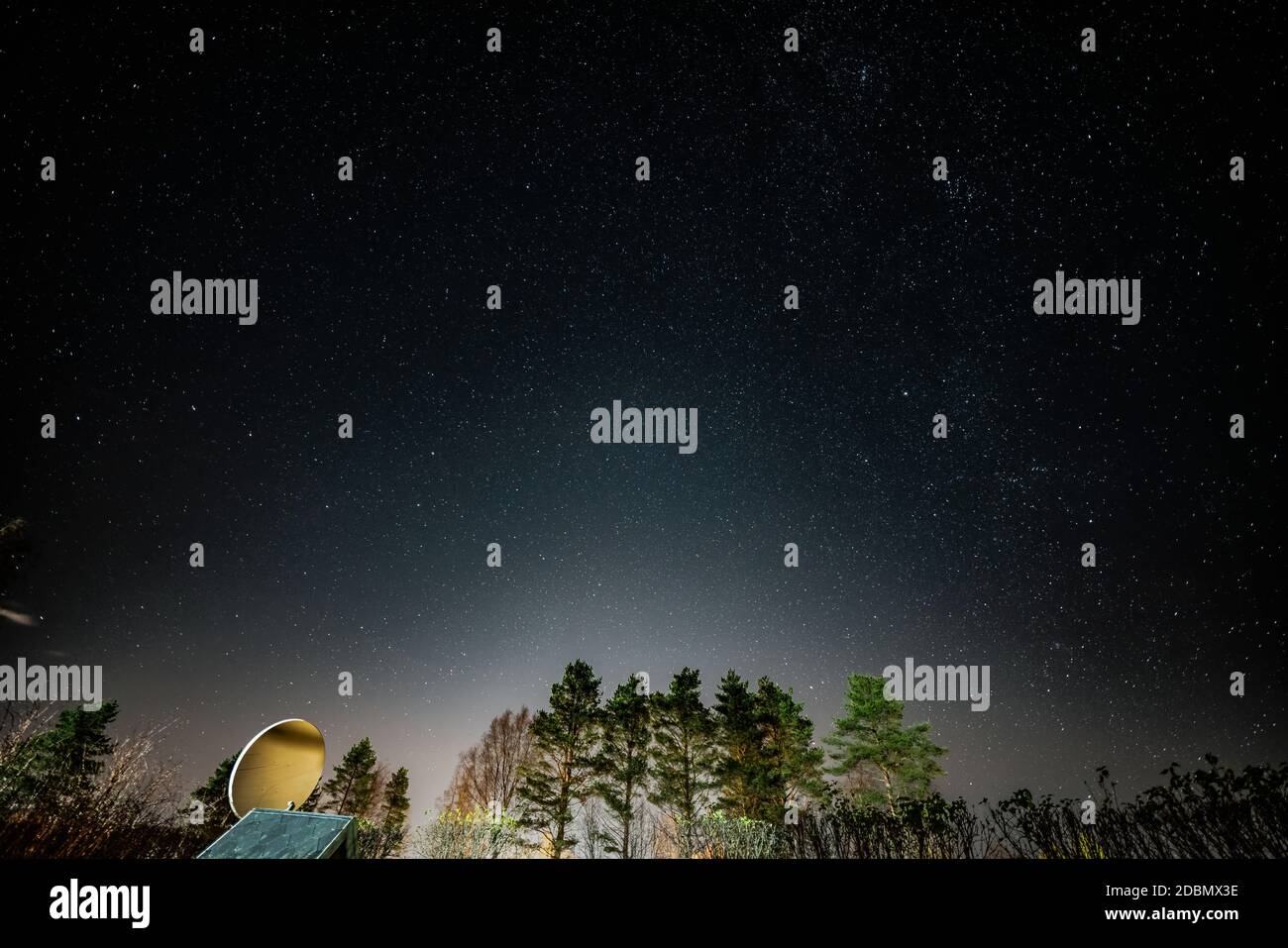Immagine notturna dell'inquinamento luminoso del cielo stellato sopra i pini nella parte settentrionale della Svezia. Le luci provengono dalla città Umea, Vasterbotten contea Foto Stock