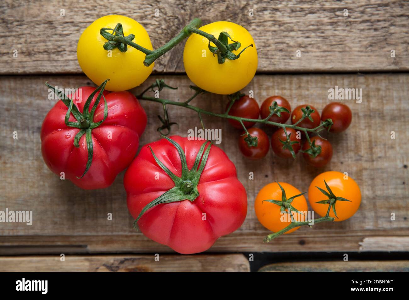 Una selezione di pomodori interi di primo piano esposti su uno sfondo di legno. Inghilterra GB Foto Stock