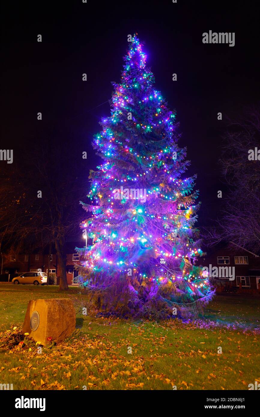 Albero di Natale con luci a Swillington, Leeds, West Yorkshire Foto Stock