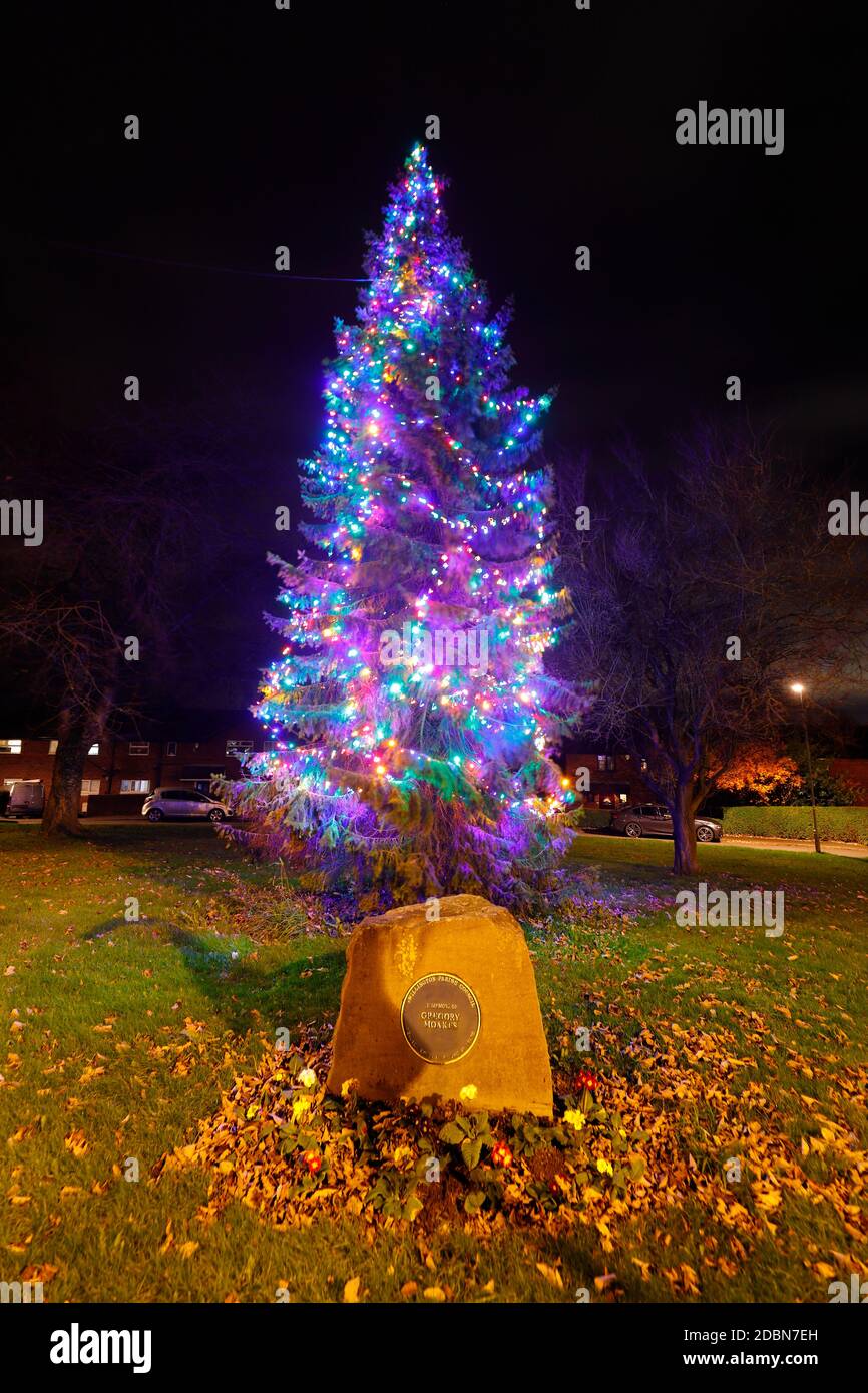 Albero di Natale con luci a Swillington, Leeds, West Yorkshire Foto Stock