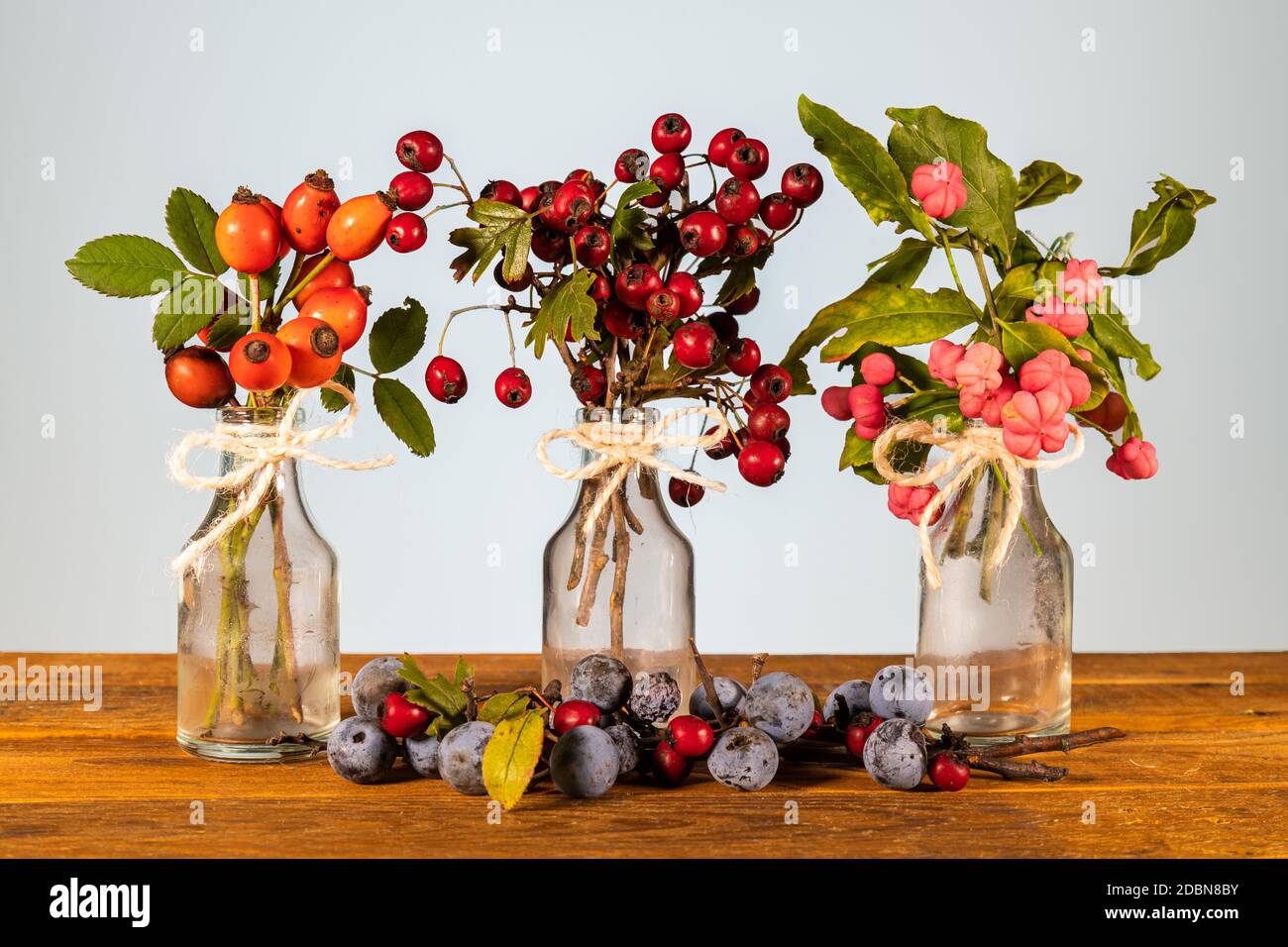 Xmas Still Life composizione: Vasi trasparenti con arco a nastro e rametti ornamentali di frutti di bosco. Foglie giallastre e piccolo pinecone Foto Stock