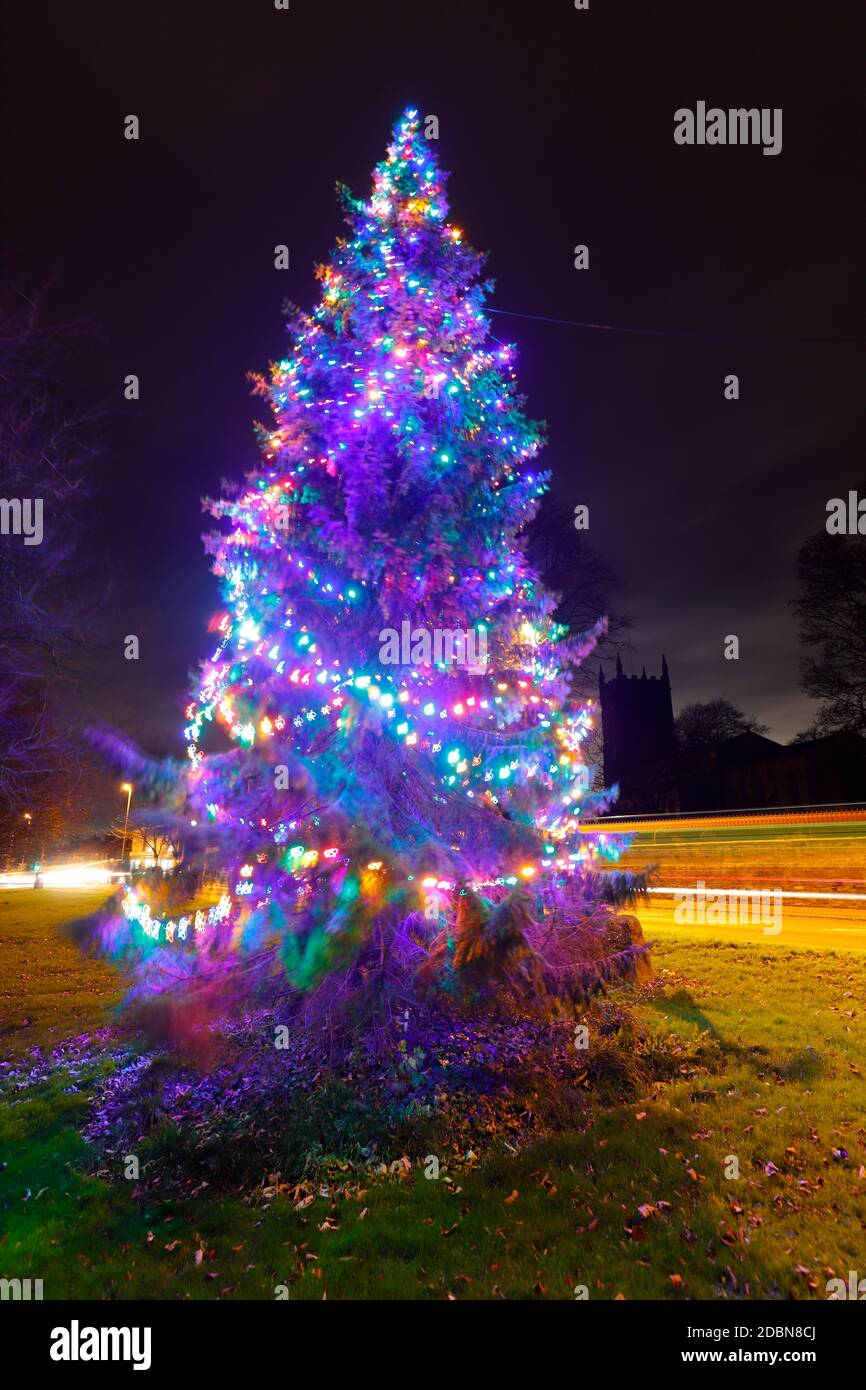 Albero di Natale con luci a Swillington, Leeds, West Yorkshire Foto Stock