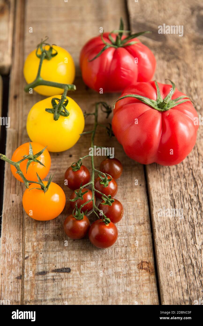 Una selezione di pomodori interi di primo piano esposti su uno sfondo di legno. Inghilterra GB Foto Stock