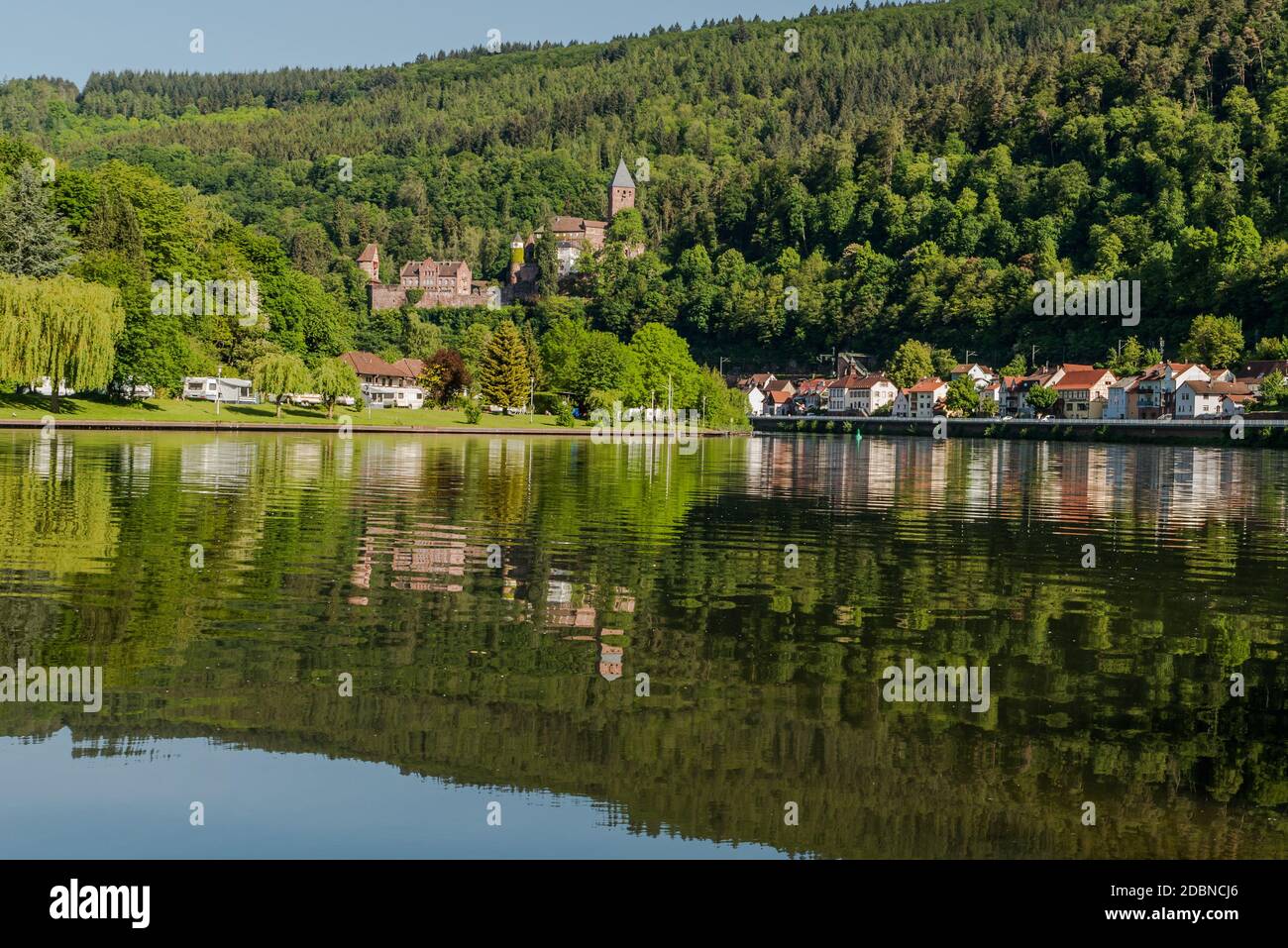 Città di Zwingenberg con il fiume Neckar e il castello, Valle del Neckar, Germania Foto Stock