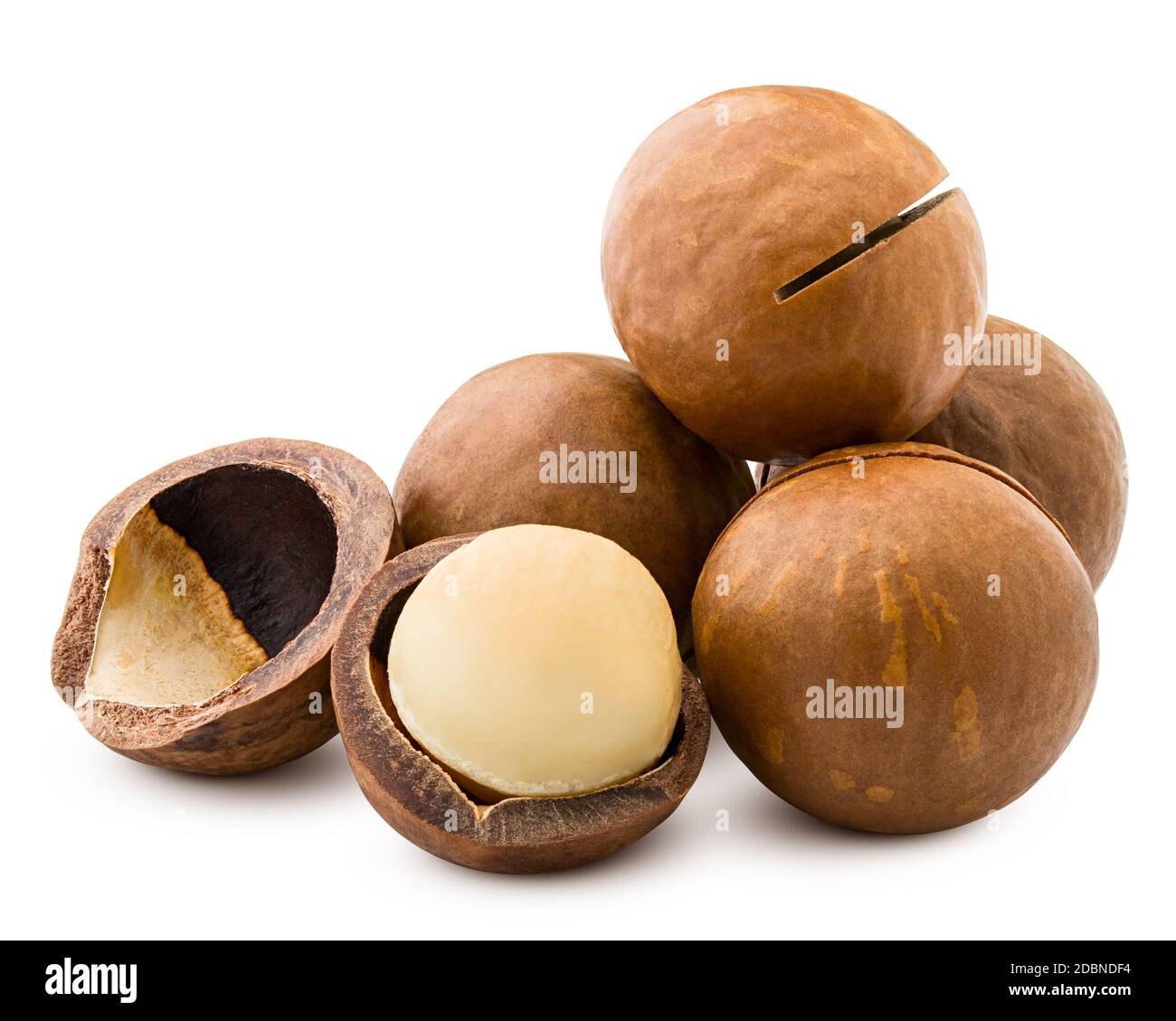 macadamia, noce, isolato su sfondo bianco, tracciato di ritaglio, profondità di campo completa Foto Stock