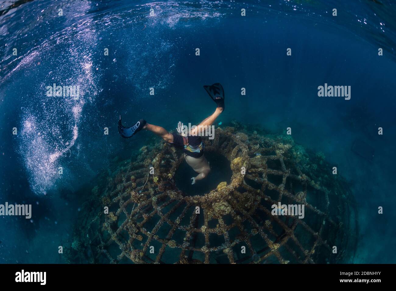 Uomo subacqueo subacqueo, Perebutan, Bali, Indonesia Foto Stock