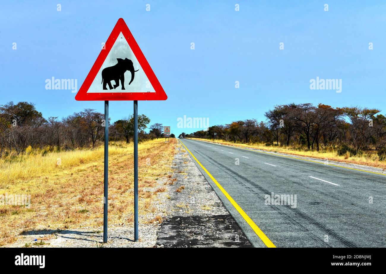 Cartello africano con l'immagine di un elefante in Namibia Foto Stock