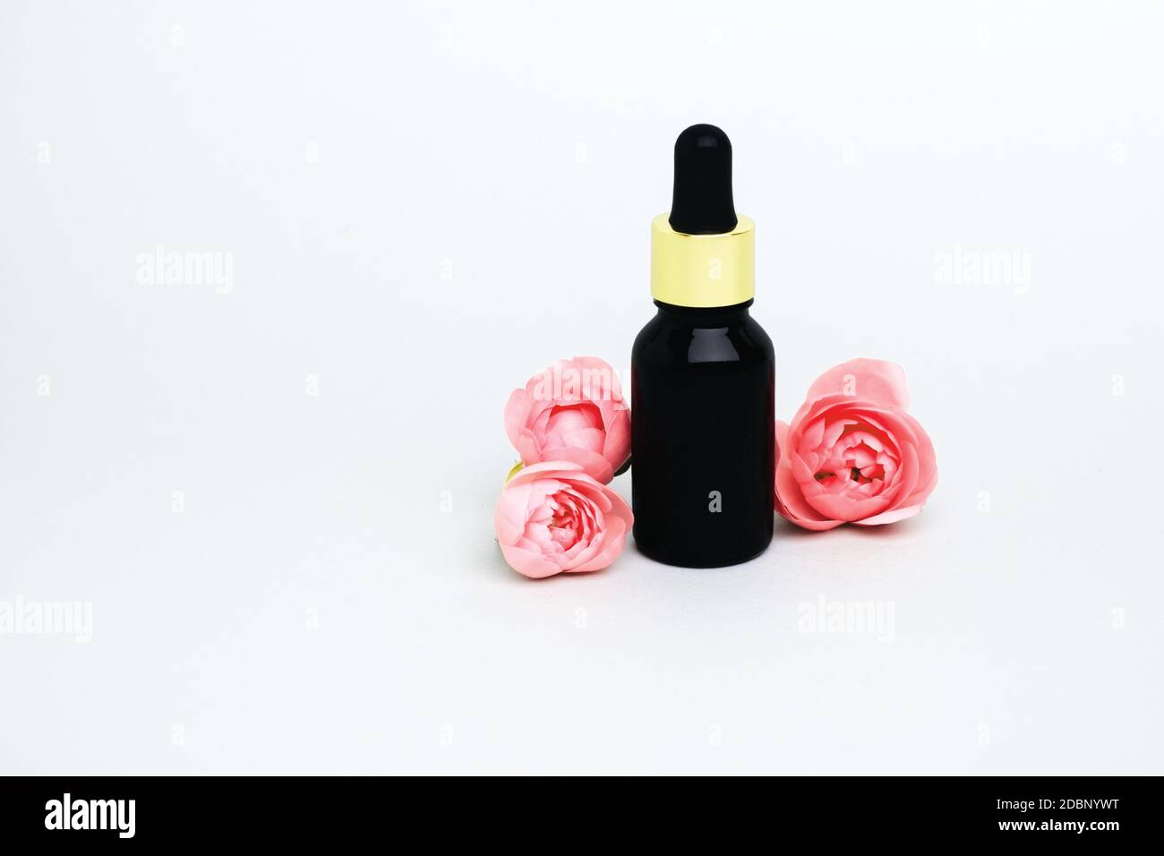 olio di rosa con fiori su un mockup grigio contenitore prodotto background.beauty. Disposizione piatta, vista dall'alto, Foto Stock