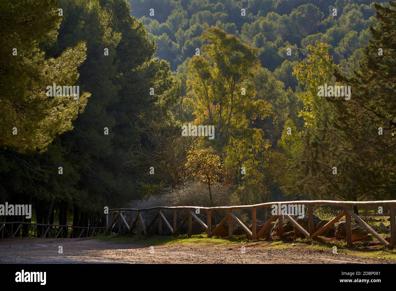 Area ricreativa naturale della città andalusa di Humilladero a Malaga. Andalusia, Spagna Foto Stock