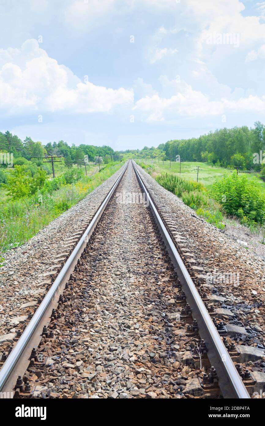 Una linea ferroviaria attraverso l'estate campi verdi. Bella e verde struttura ferroviaria paesaggio sky. Bellissimo paesaggio e dalla stazione ferroviaria. Il trasporto ferroviario. In verticale Foto Stock