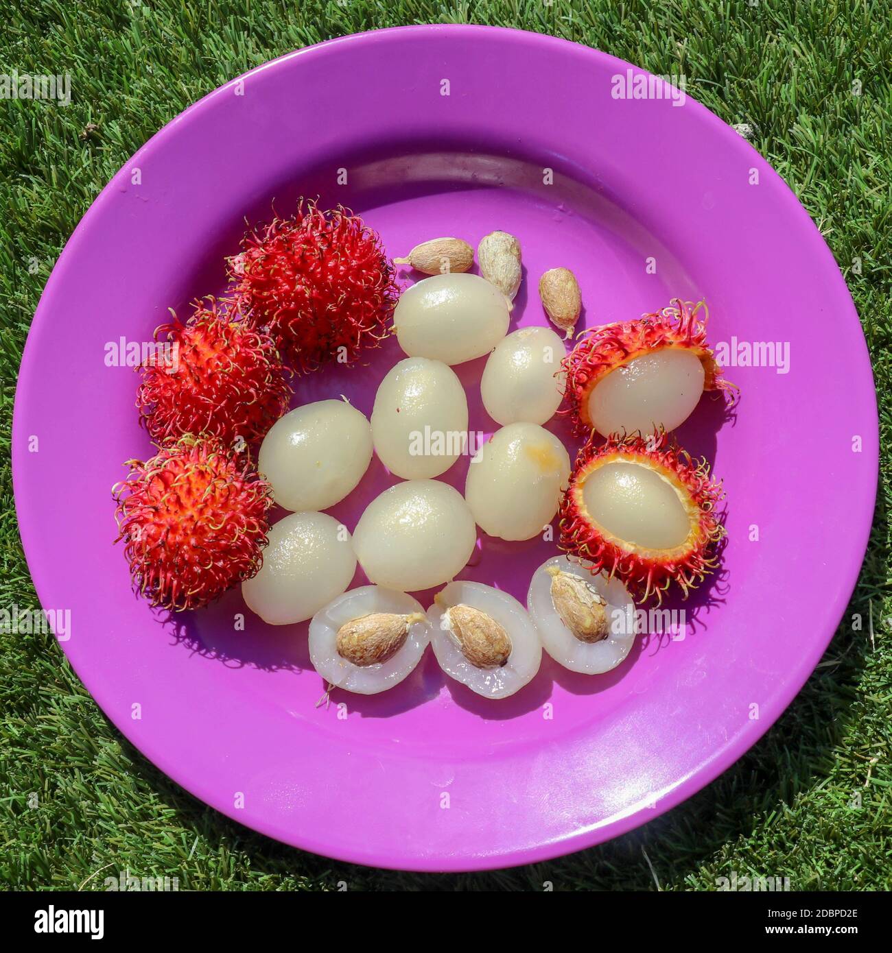 Primo piano di rambutan, frutti interi e pelati. Vista dall'alto frutta sana su sfondo viola. Pronto a mangiare la dolce frutta di Bali. La frutta è ovale arrotondato Foto Stock