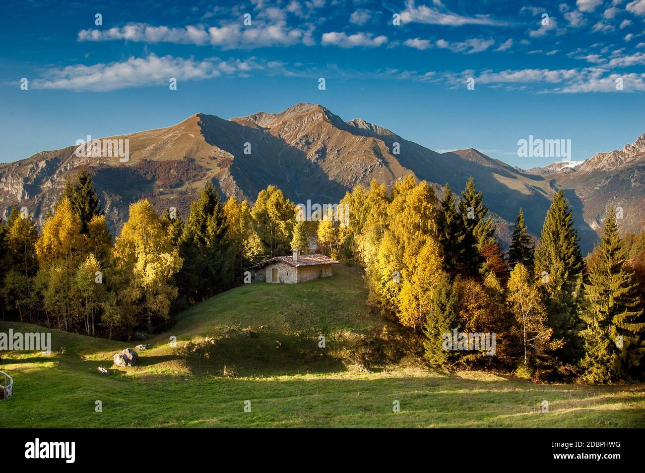 Cottage tra alberi colorati in autunno Foto Stock