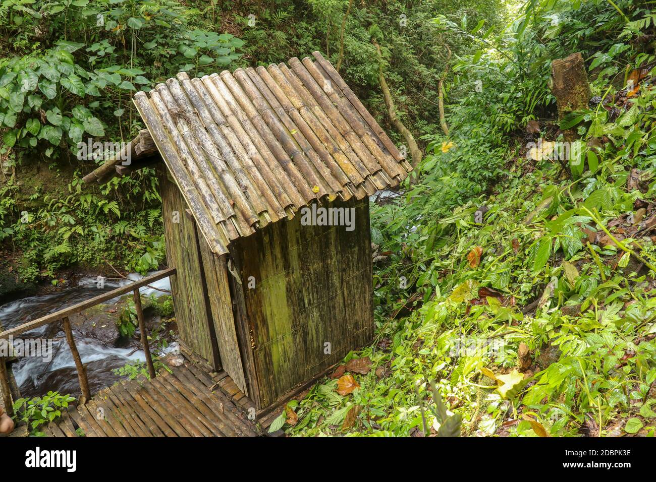 Spogliatoio costruito di tronchi di bambù da un fiume in una foresta tropicale pioggia. Piccola casa a Spray Waterfall su Bali Island alta in montagna. Valle Foto Stock