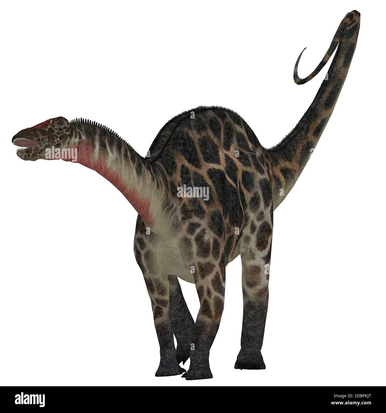 Dicraeosaurus era un sauropod dinosauro erbivoro che visse nell'era giurassica della Tanzania, Africa. Foto Stock