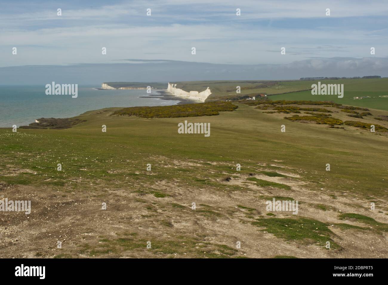 Campagna e costa a Beachy Head scogliere di gesso nel sud Downs, vicino Eastbourne, Sussex est, Inghilterra. Non ci sono persone a causa del blocco da Covid Foto Stock