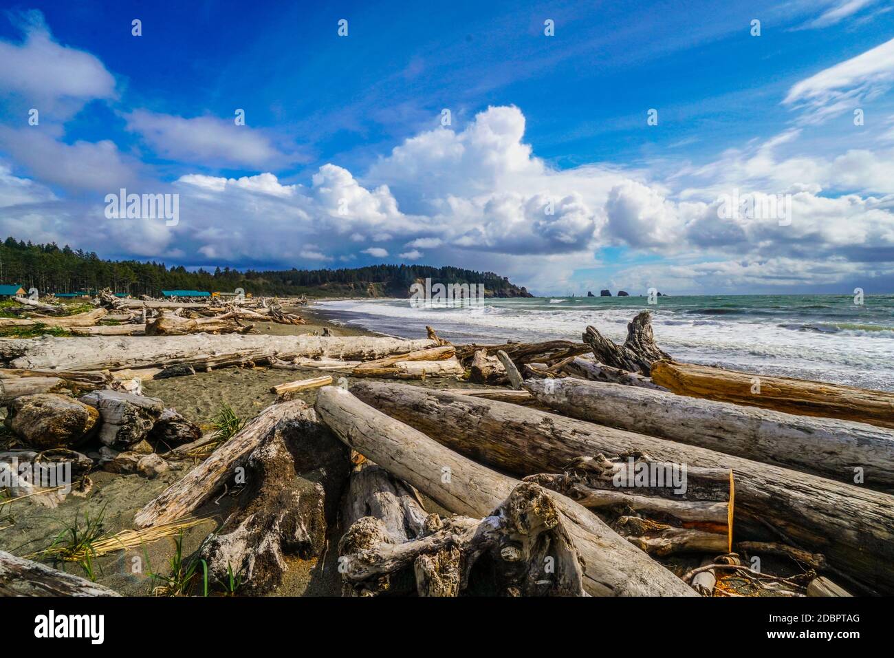 Incredibile la Push Beach nella prenotazione indiana Quileute Foto Stock