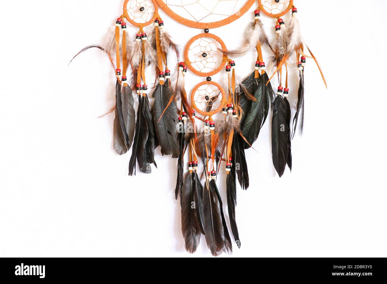 Macro vista dei dettagli reali nativi catcher sogno su sfondo bianco puro. Foto Stock