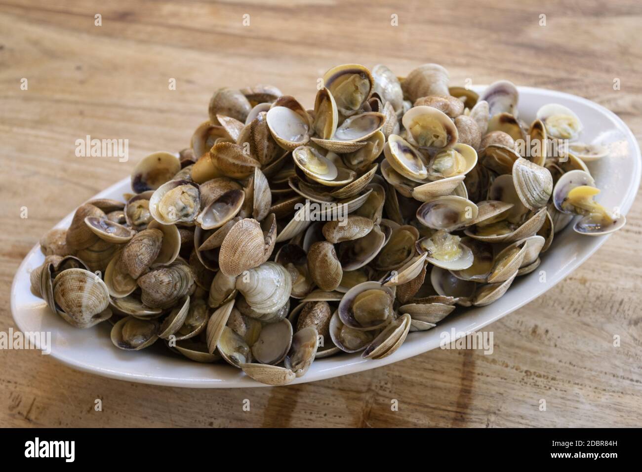 piccole vongole chiamate telline su un piatto di portata Foto Stock