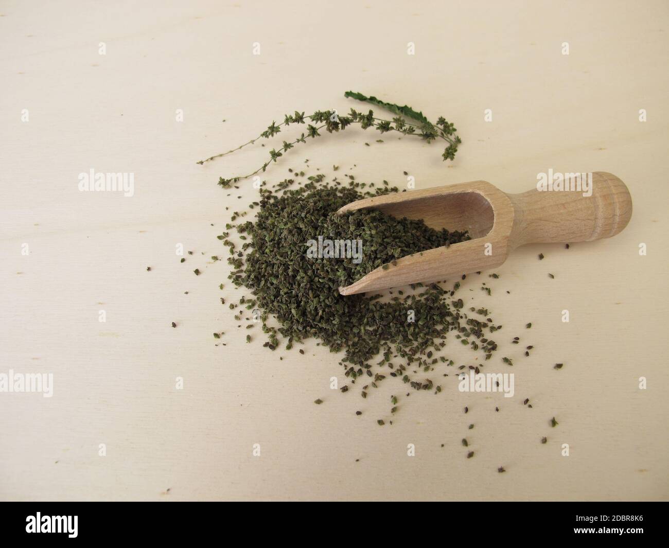 Semi di ortica essiccati superfood su una tavola di legno Foto Stock