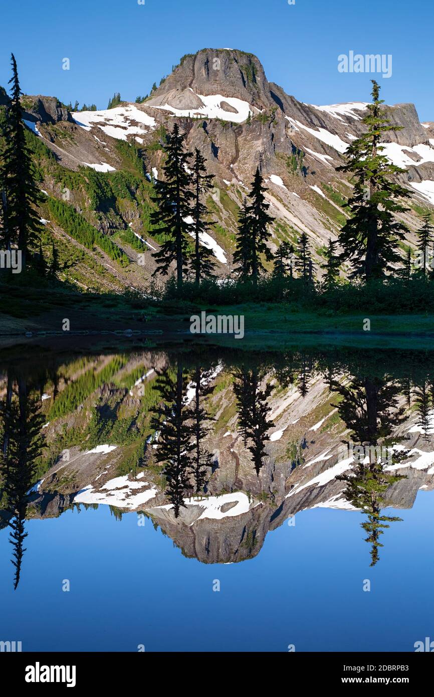 WA18184-00...WASHINGTON - Table Mountain che riflette in un piccolo tarn in La zona panoramica di Heather Meadows del Monte Baker - Foresta Nazionale di Snoqualmie Foto Stock