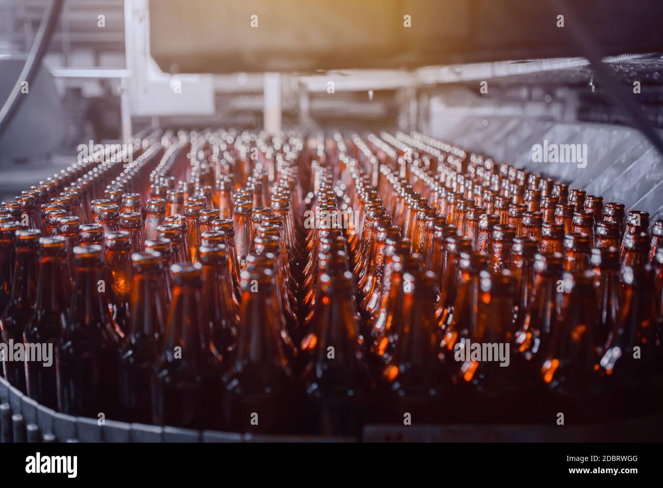 Bottiglie di birra marrone in vetro nella lavatrice industriale per bottiglie Foto Stock