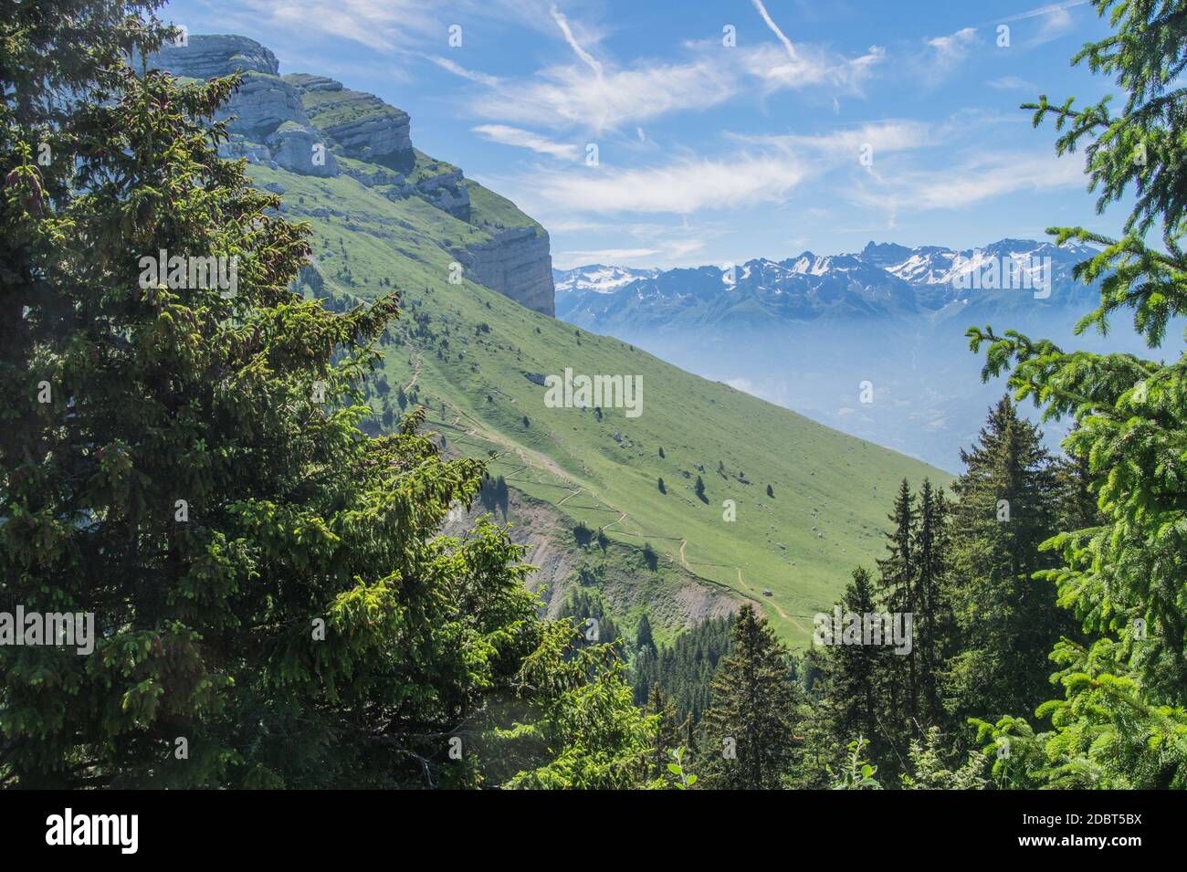 Pass di pravouta,saint pierre de chartreuse,isere,Francia Foto Stock