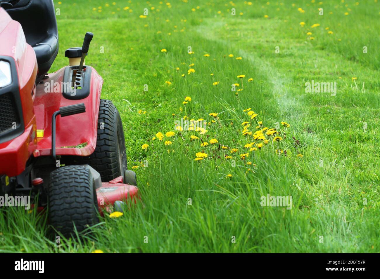 Falciando o tagliando l'erba lunga con un tosaerba . Il concetto di giardinaggio di fondo . Foto Stock