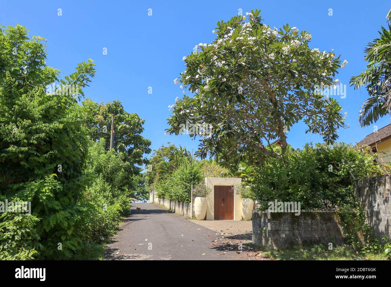 Strade vuote di Bali. Quarantena per COVID-19. Canggu, una delle zone turistiche più popolari di Bali. Indonesia. Foto Stock