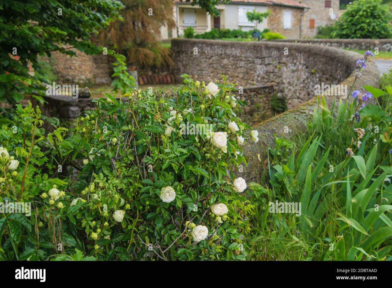 Beaumont,ardeche,Francia Foto Stock