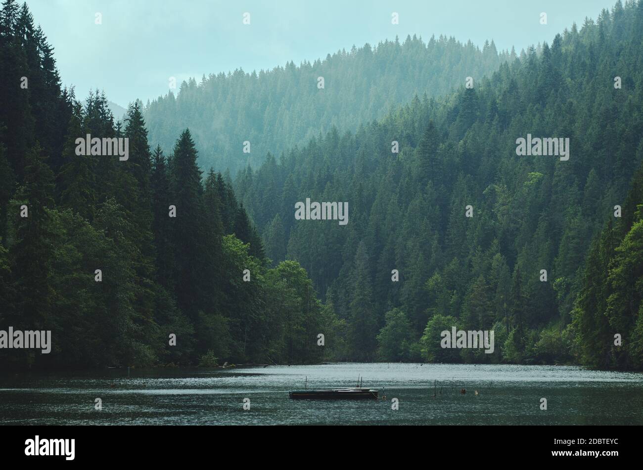 Un lago nel mezzo di una foresta di montagna. Foto Stock