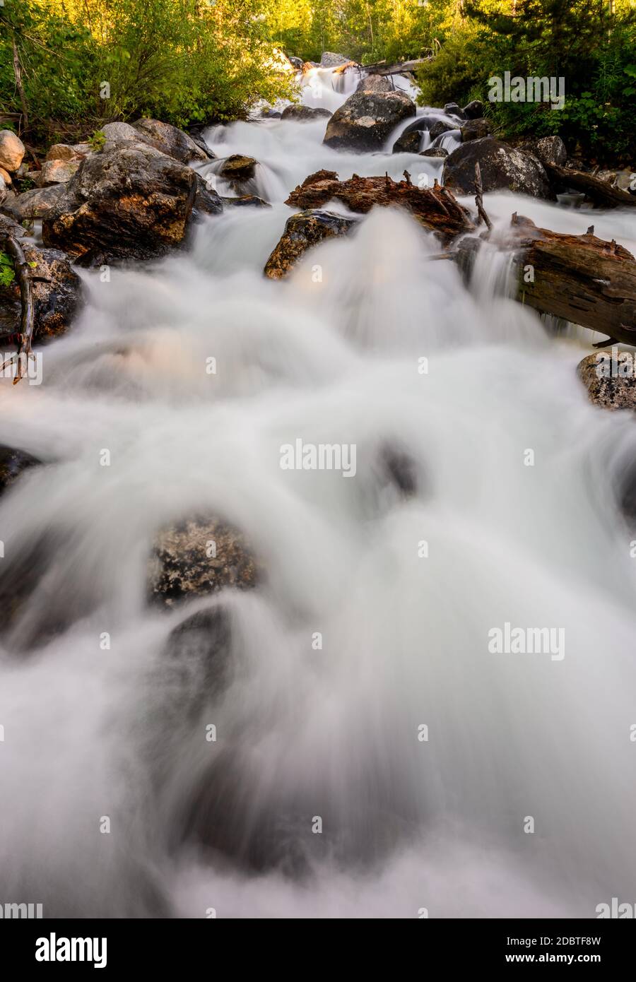 Taggart Creek si aggina sulle rocce nel parco nazionale di Grans Teton Foto Stock