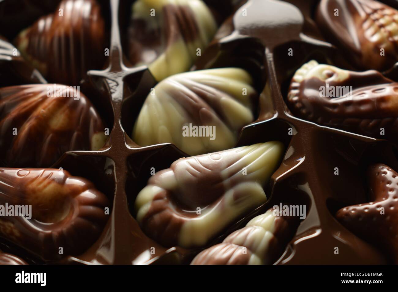 Primo piano su una scatola di cioccolatini a forma di frutti di mare. Foto Stock