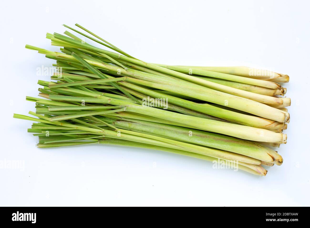 Citronella fresca su sfondo bianco. Spazio di copia Foto Stock Citronella fresca su sfondo bianco. Spazio di copia Foto Stock