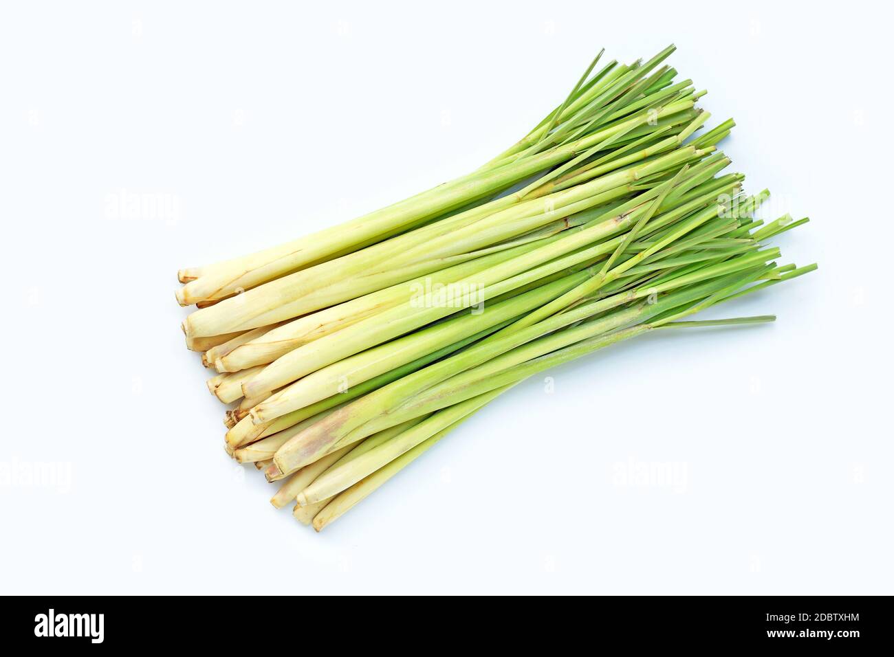Citronella fresca su sfondo bianco. Foto Stock Citronella fresca su sfondo bianco. Foto Stock