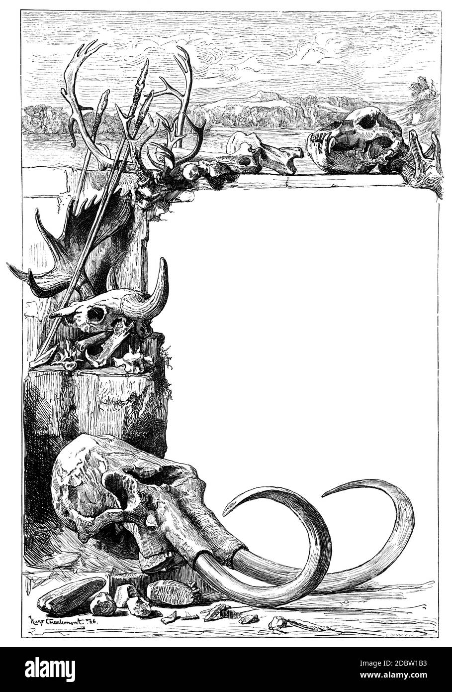 Bordo o pagina circondato di antichi teschi e fossili, da incisione del 1880 Foto Stock