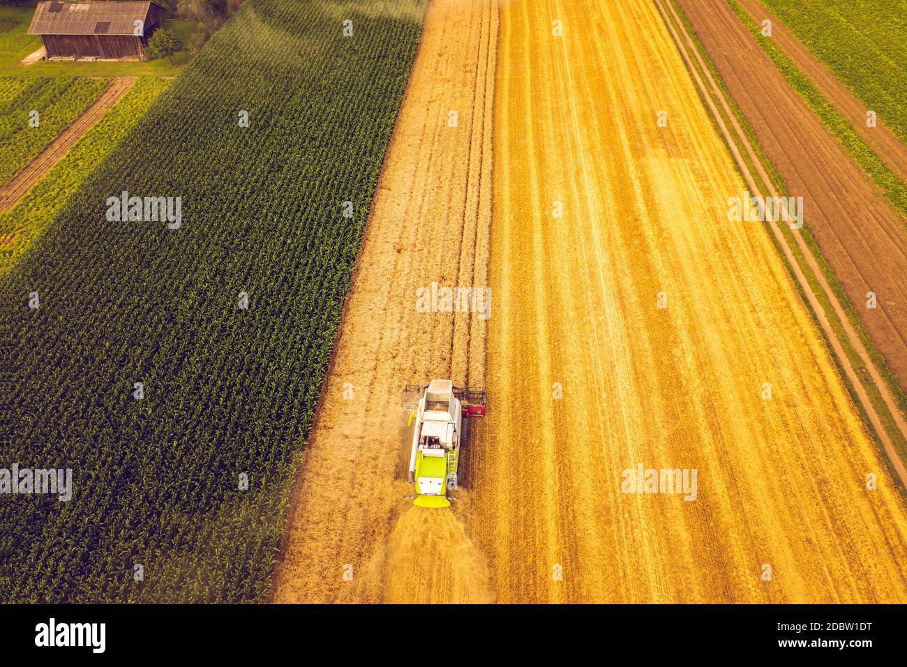 Una mietitrebbia moderna che lavora sul campo del grano, vista aerea. Paesaggio di campagna Foto Stock