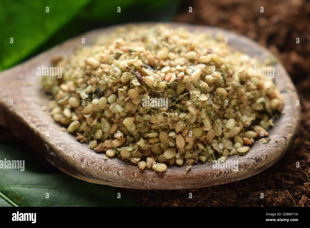Primo piano di gomashio sul cucchiaio Foto Stock