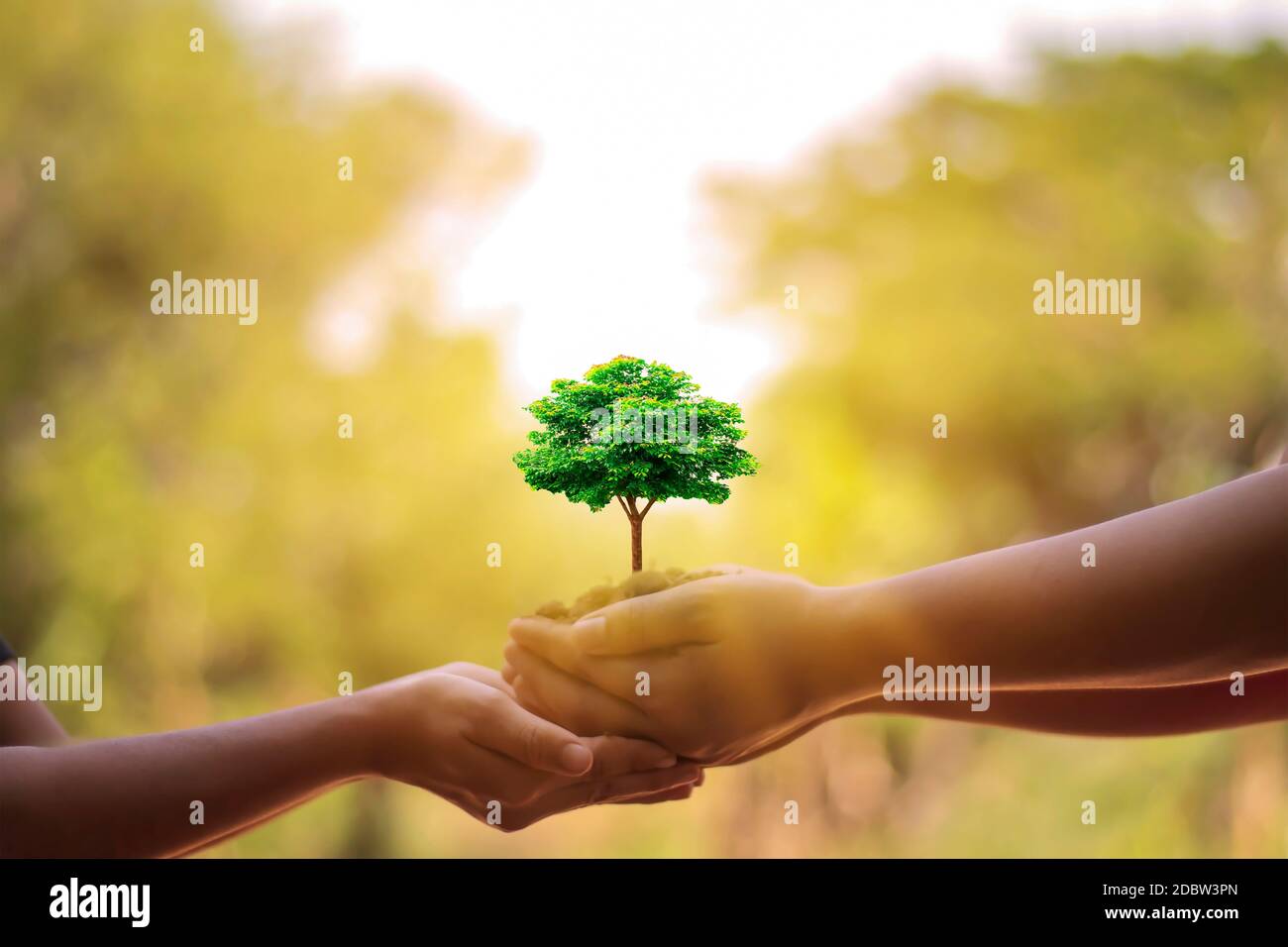 Primo piano della mano di un adulto che invia la segagione alla mano del ragazzo per mettere a terra, l'idea di proteggere l'ambiente e piantare alberi t Foto Stock