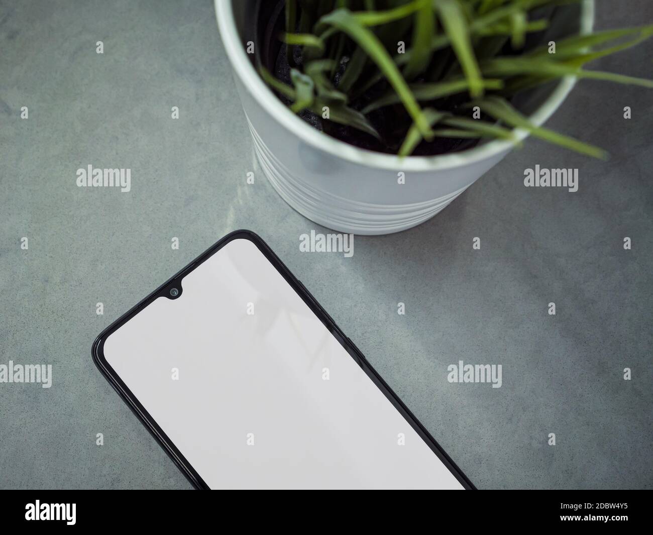 Un moderno spazio di lavoro minimalista con mockup nero per smartphone si trova sulla superficie con uno schermo vuoto. Tavolo da scrivania da ufficio con una pianta verde. Via superiore Foto Stock