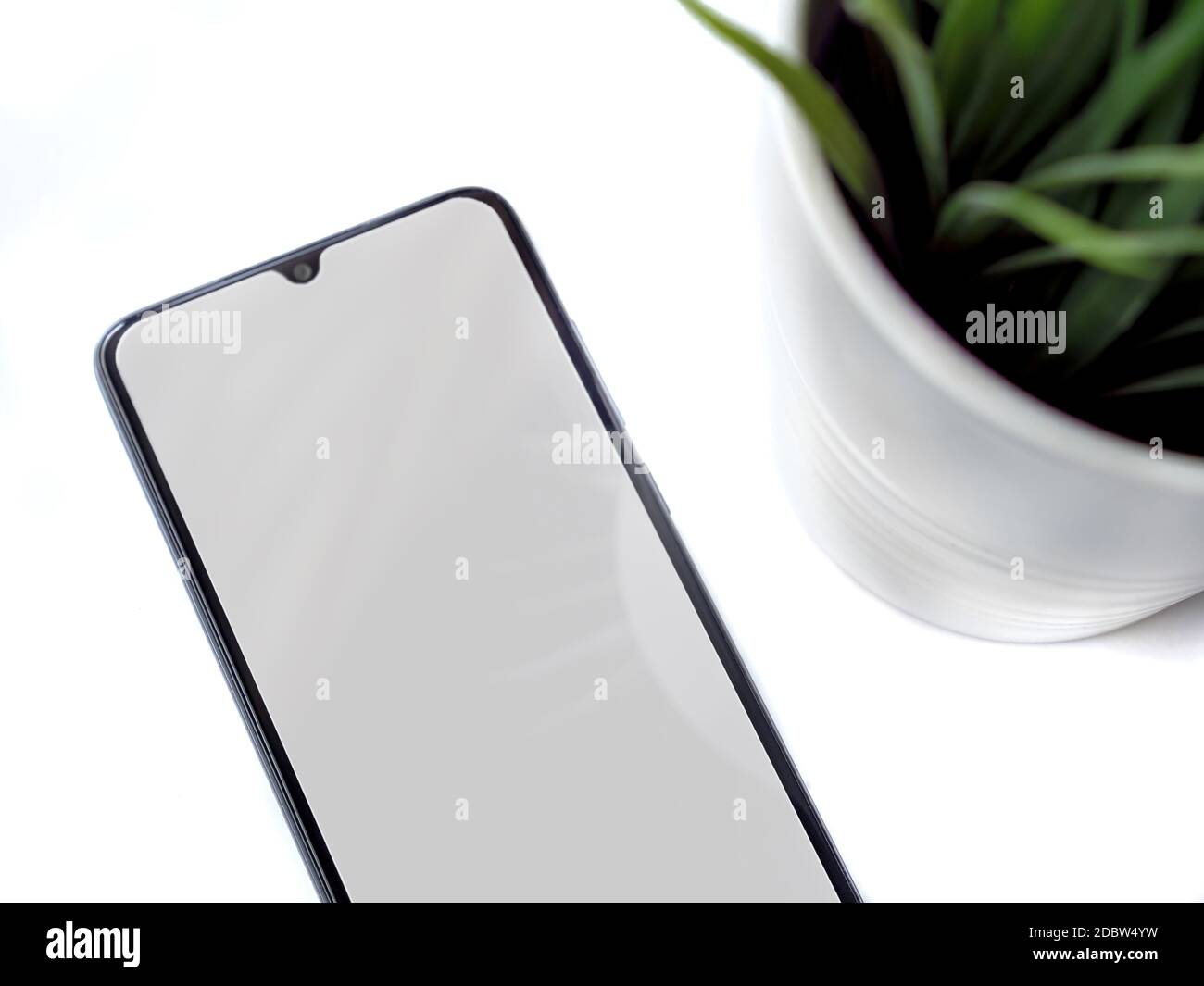 Un moderno spazio di lavoro minimalista con mockup nero per smartphone si trova sulla superficie con uno schermo vuoto. Tavolo da scrivania da ufficio con una pianta verde. Via superiore Foto Stock