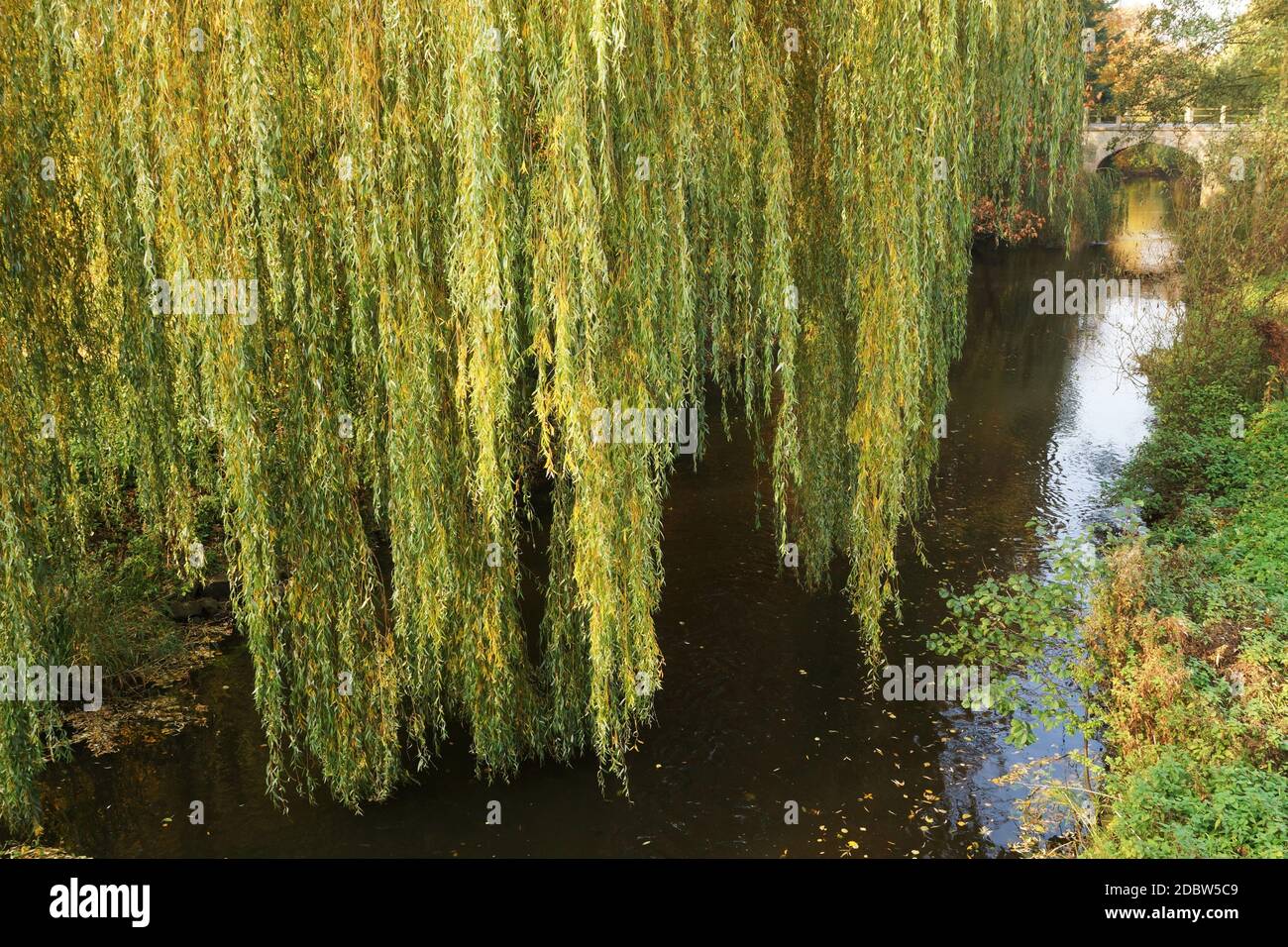 Bellissimo paesaggio romantico con ponte a Schleswig-Holstein, Germania Foto Stock