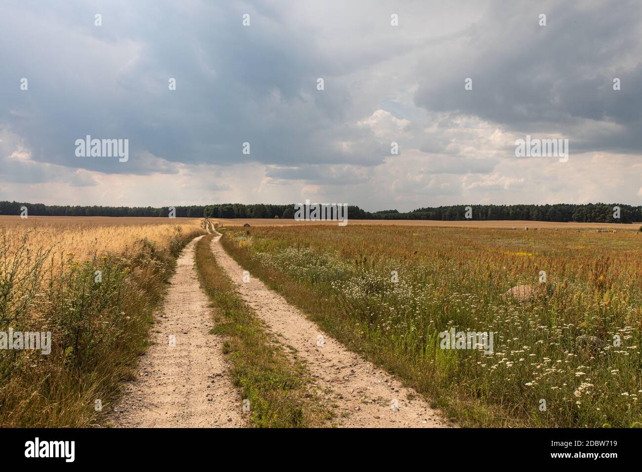 Paesaggio Foto Stock