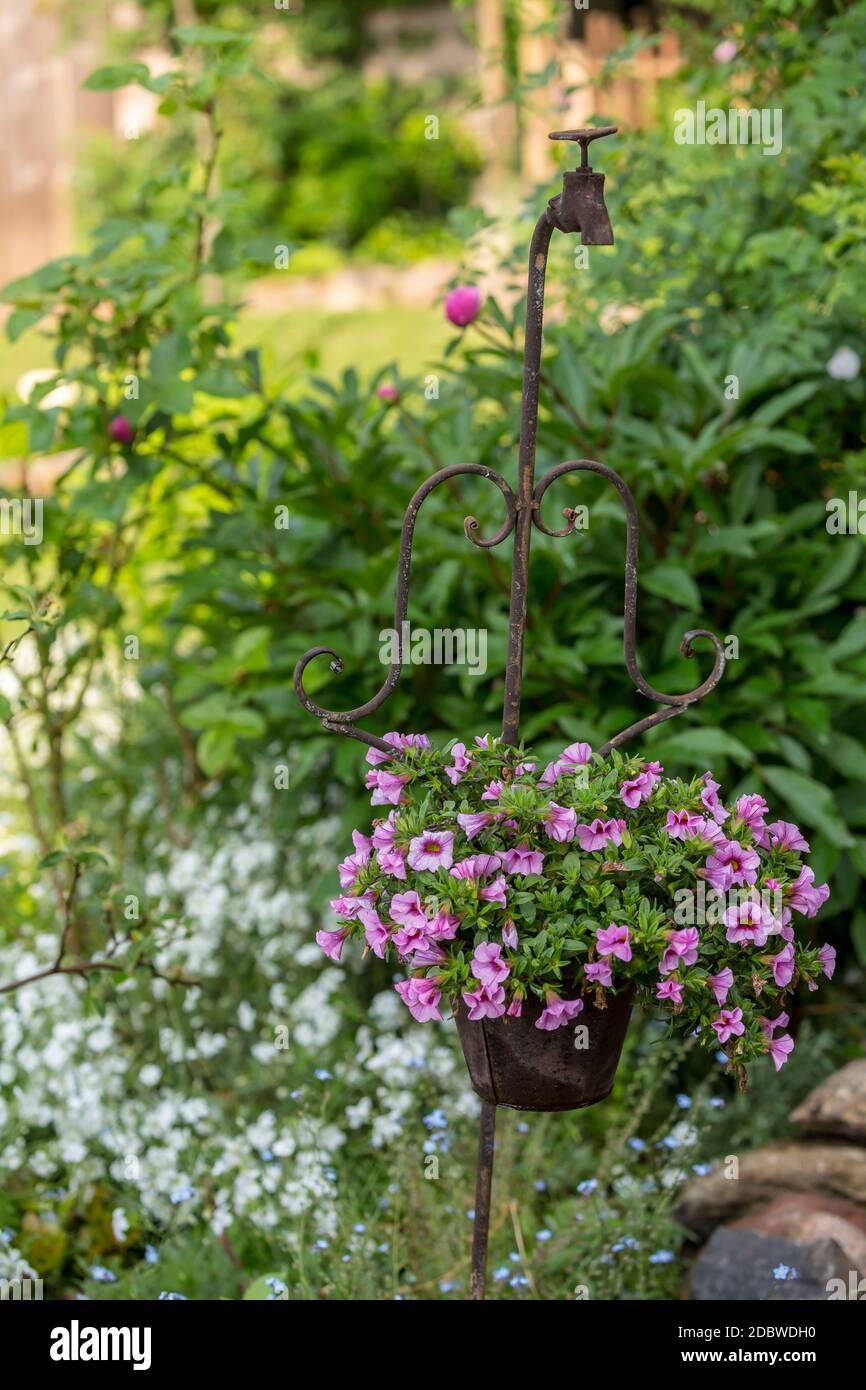 piccoli fiori rosa in una pentola decorativa, catturati nel mio giardino di campagna, perfetto per un biglietto d'auguri, borsa regalo o immagine di calendario Foto Stock
