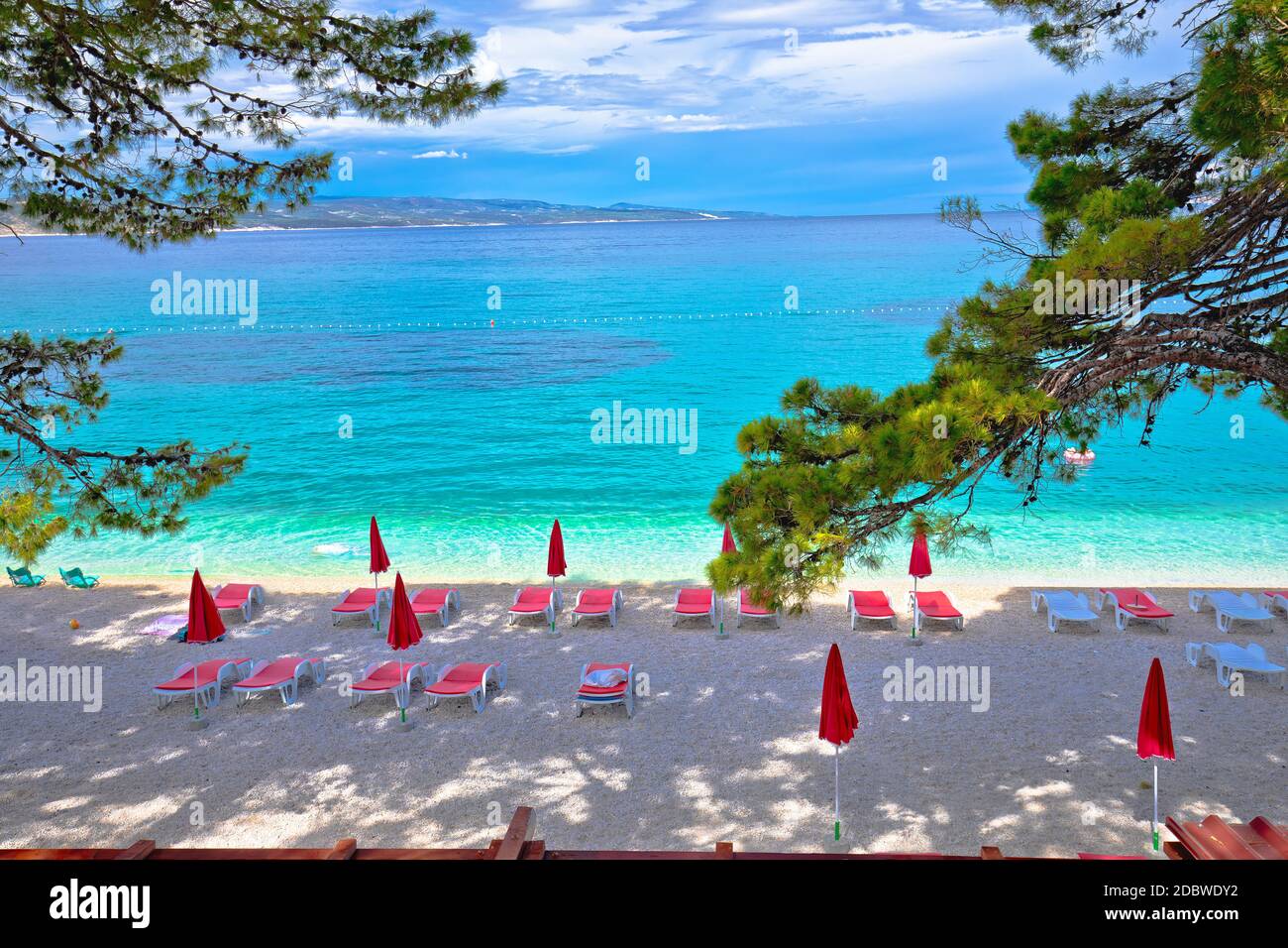 Idilliaco pinete e spiaggia di ciottoli in Baska Voda vista, Makarska riviera in Dalmazia, Croazia Foto Stock