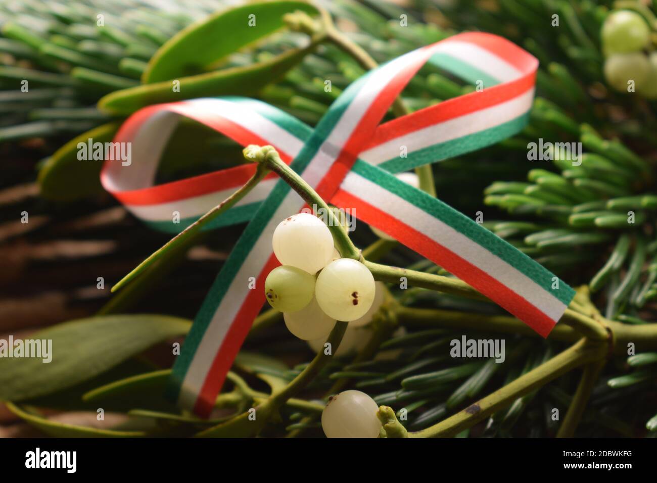 Closeup di un ramo di mistletoe con bandiera Foto Stock