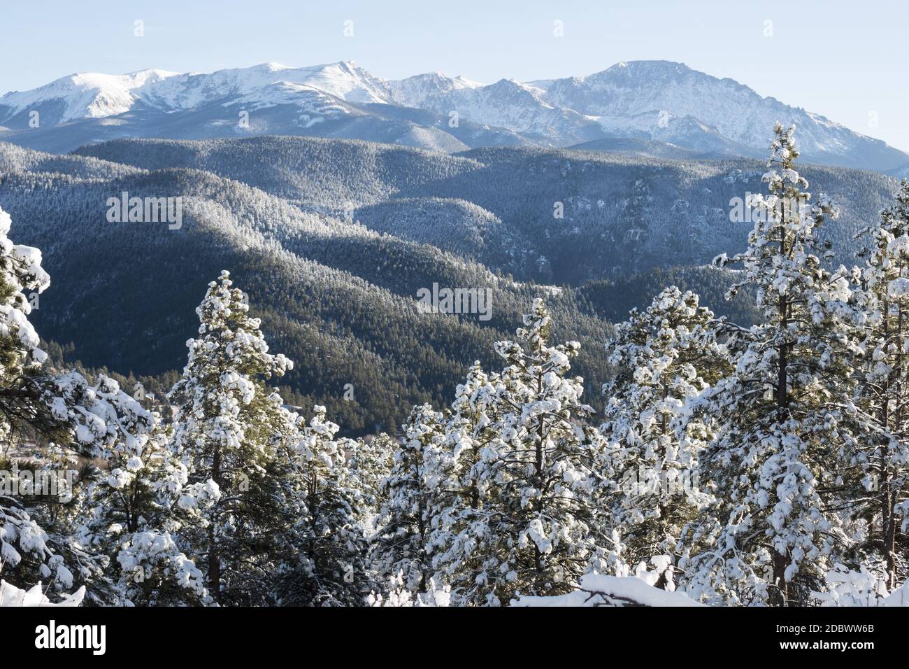 Neve fresca coperte la foresta alla base del Majestic Pikes Peak, Colorado Foto Stock