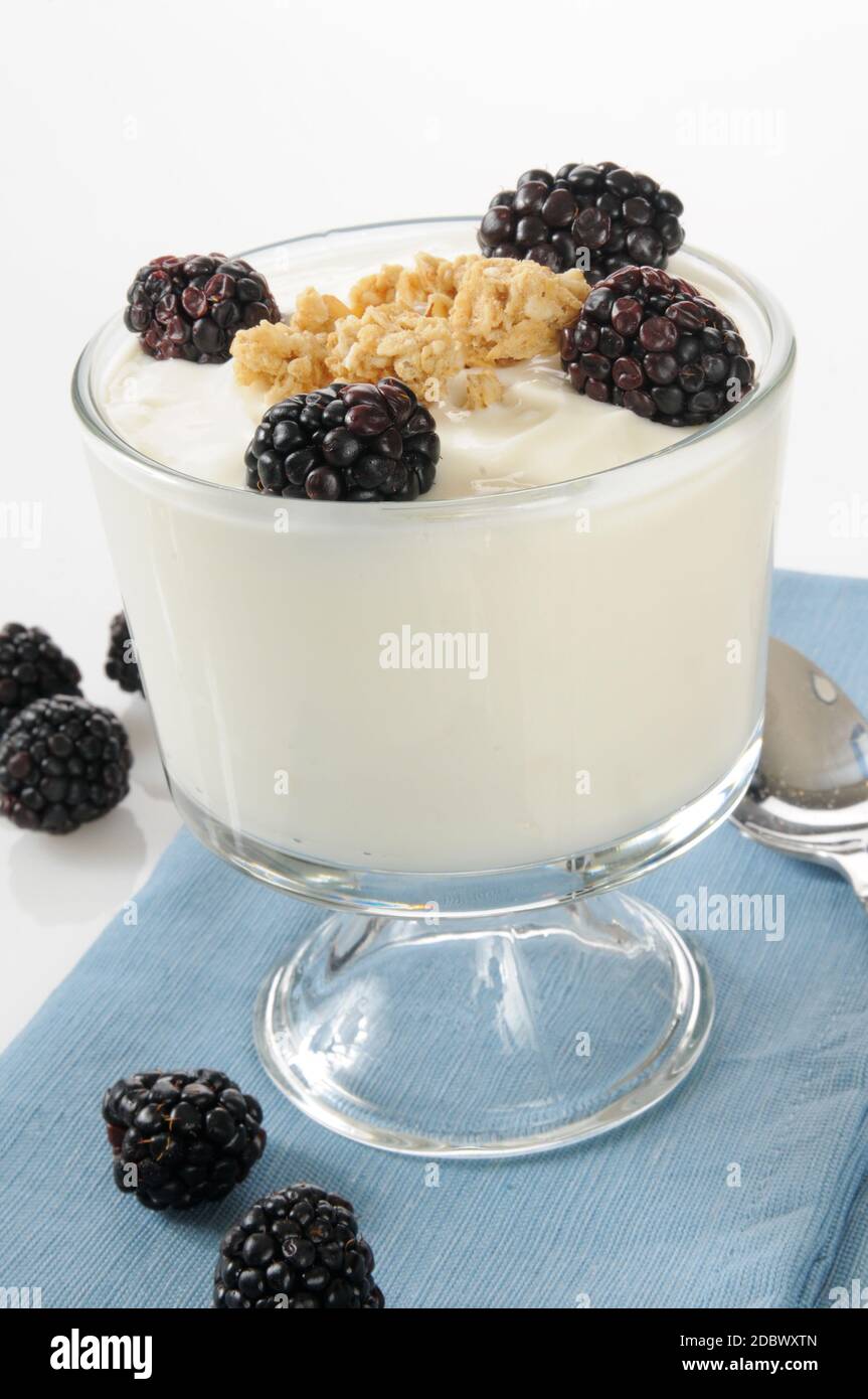 Una tazza di yogurt alla vaniglia con mirtilli neri e cereali multipli granola Foto Stock